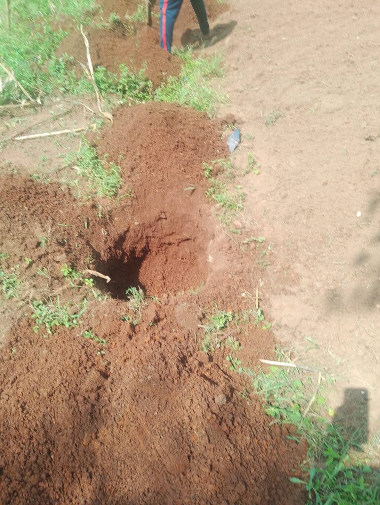 Gat om een boom te planten.